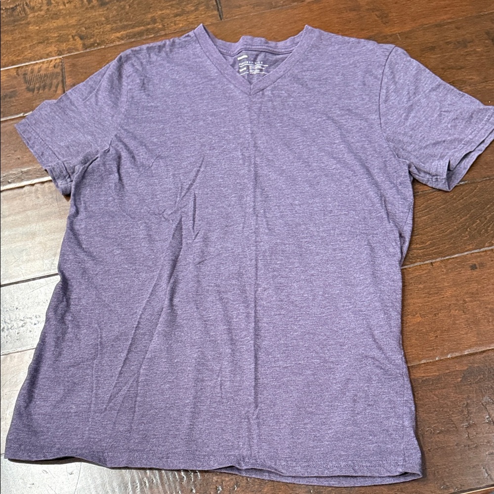 Public Opinion Purple V-Neck T-Shirt